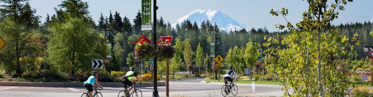 Mount Rainier Washington